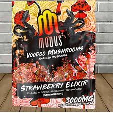 Modus Voodoo Mushrooms